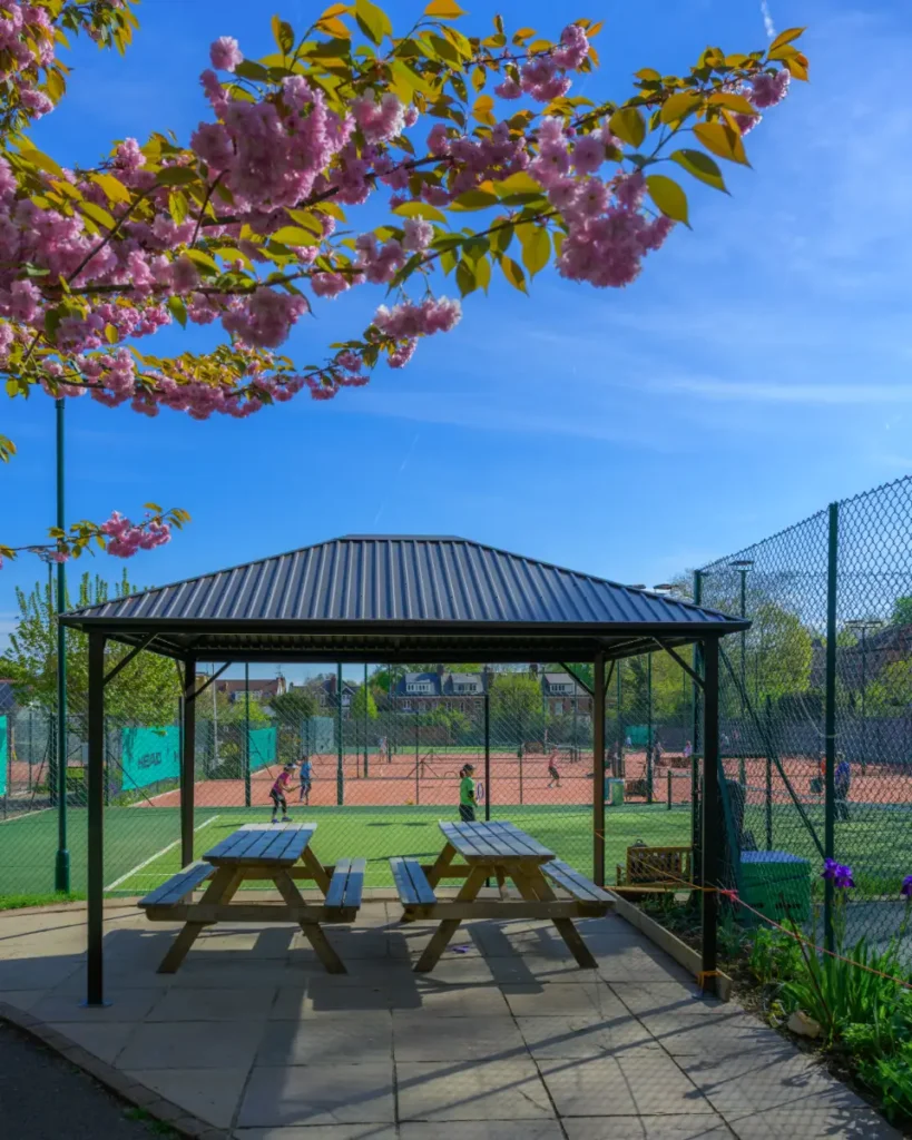Covered picnic seating area overlooking clay tennis courts, framed by blooming cherry blossoms on a sunny day.